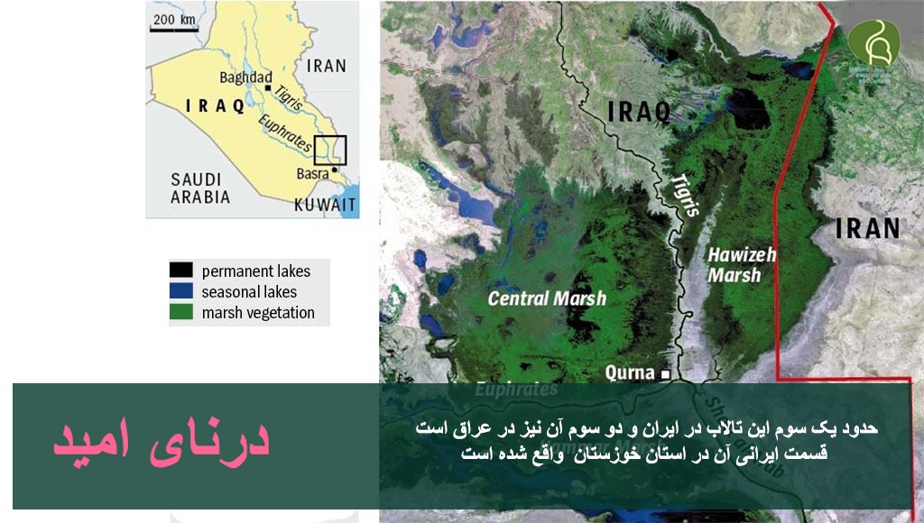 تالاب هورالعظیم کجاست؟